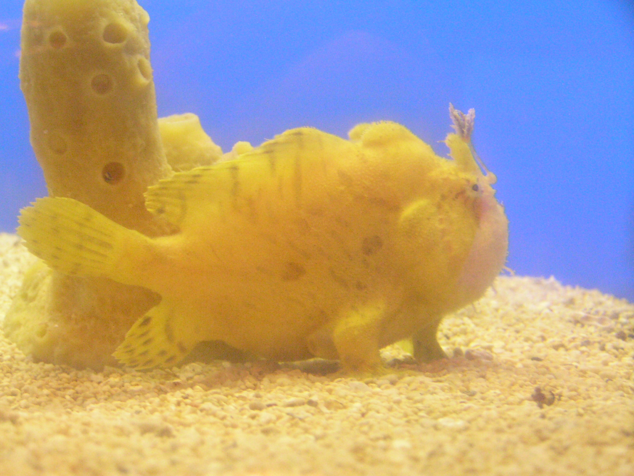 躭(躭读玩市寓目囊箱)