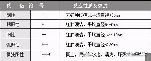 ppd是什么意思(ppd试验结果判断标准)