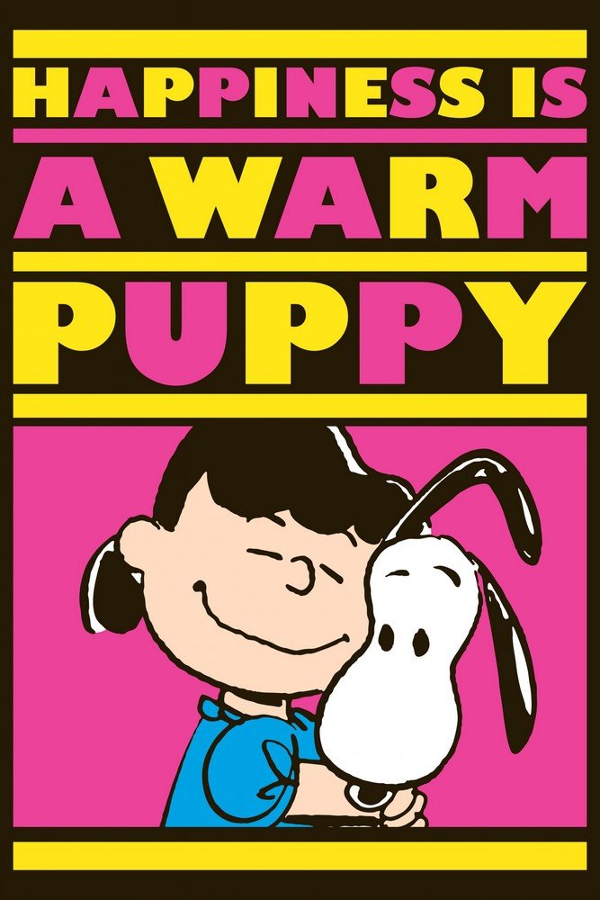 peanuts(peanuts暗指什么)