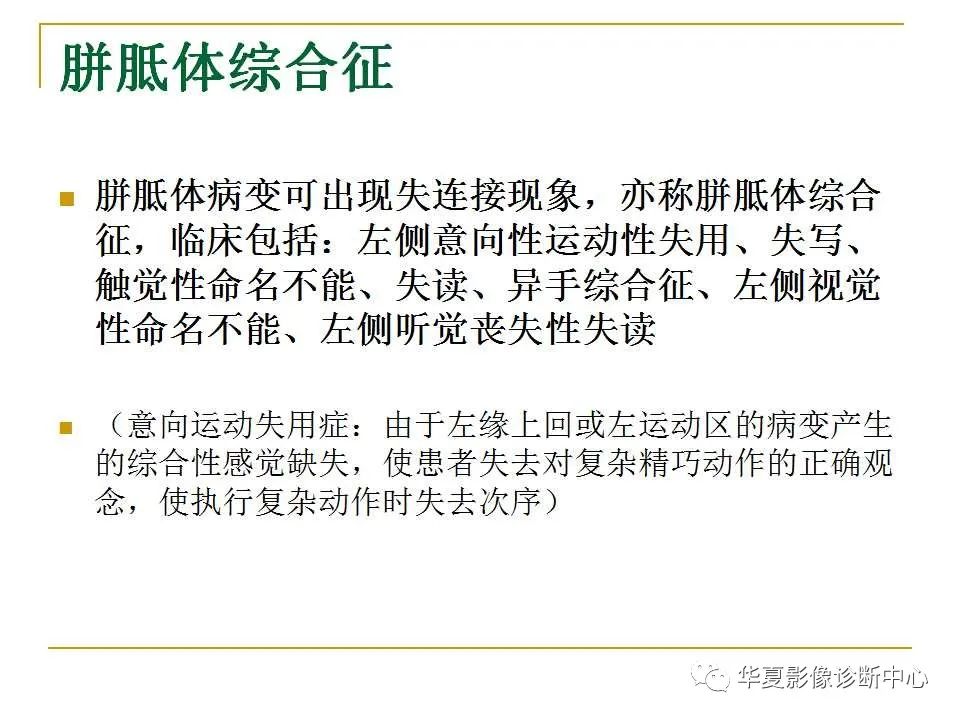 胼胝体是什么意思(胎儿胼胝体是什么意思)