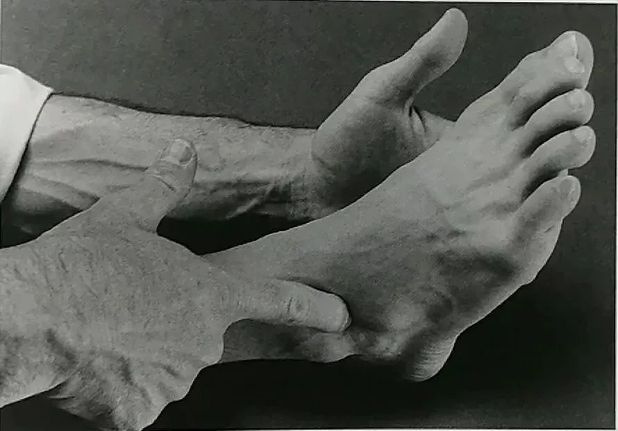 足跗(足跗是哪个部位)