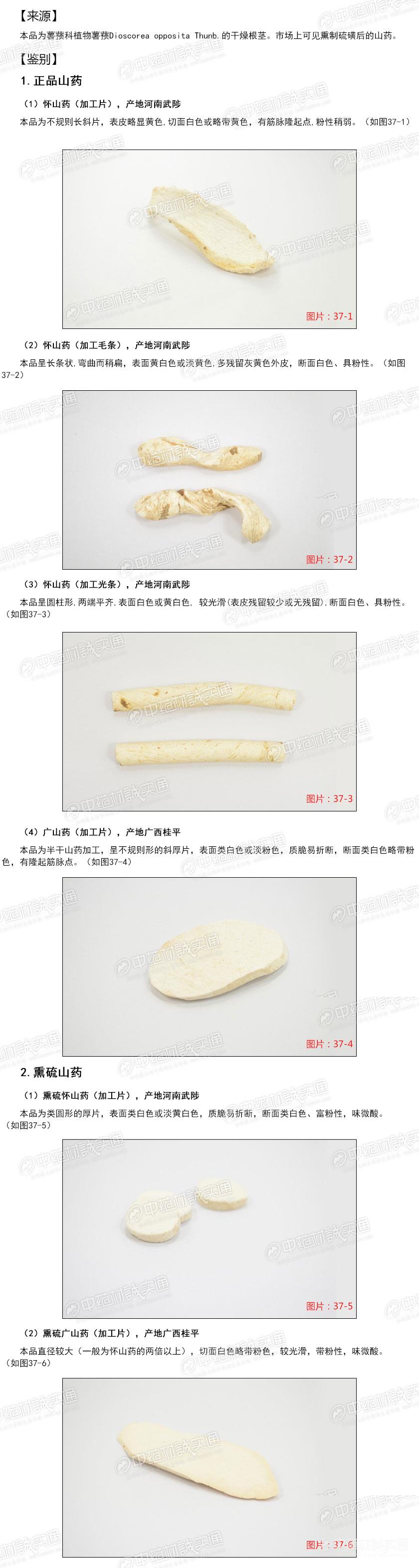 真假的拼音(真假的拼音声调)