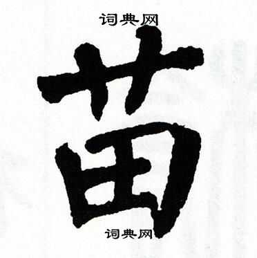 苗字的部首 艹 苗字的笔画笔顺横竖竖竖横折横竖横 苗字组词及造句一