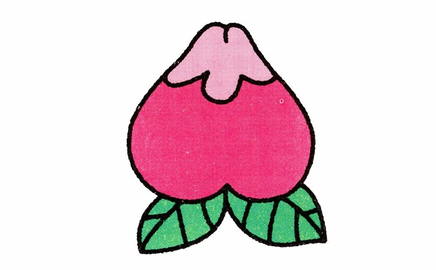 桃子的桃的笔顺(桃子的桃的笔顺咋写)