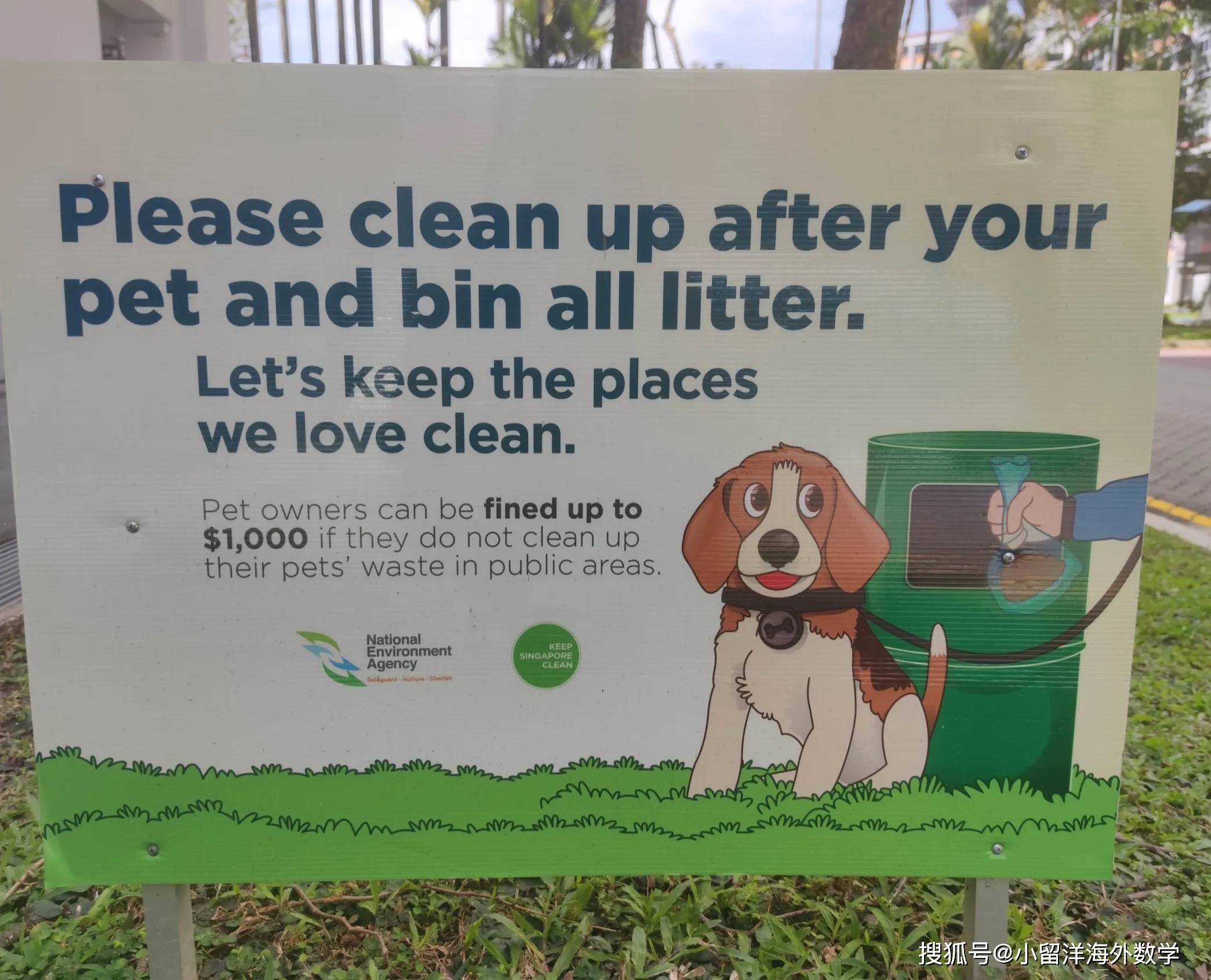 pls是什么意思(心肺复苏pls是什么意思)