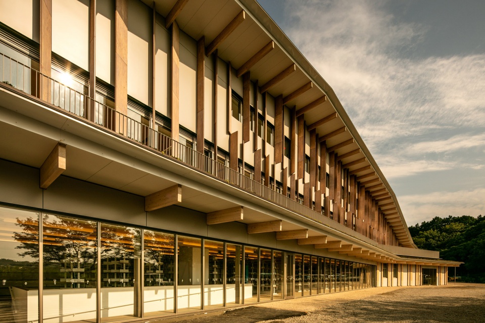 colleage(colleagues)