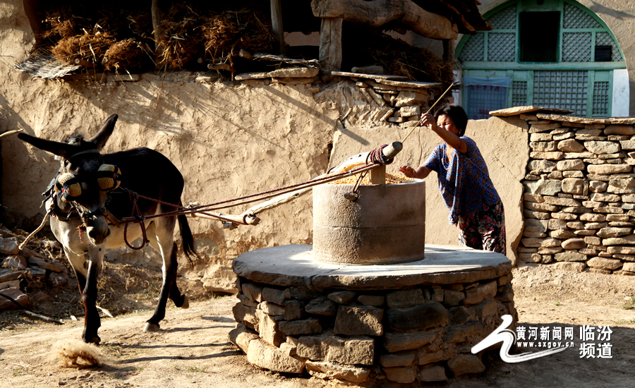 磨面拼音(磨面拼音是什么)