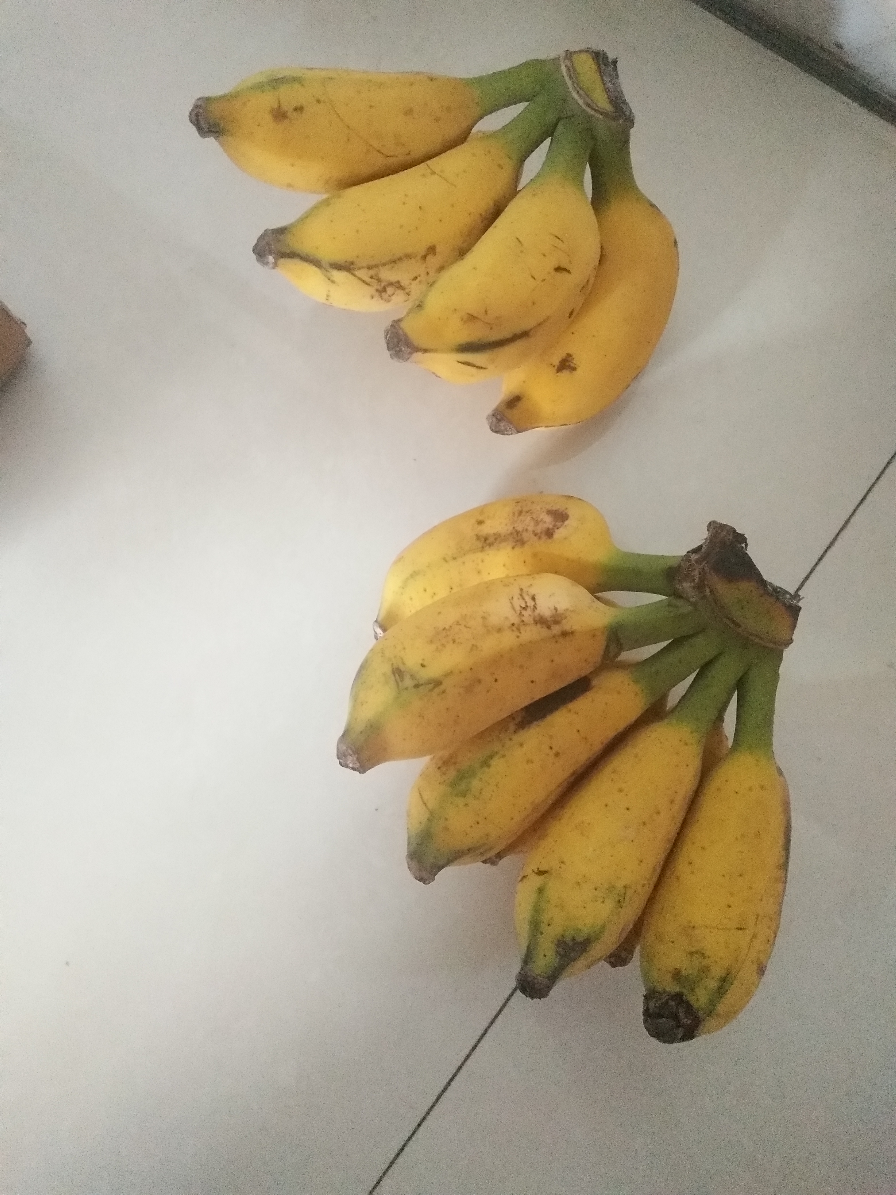 香蕉的蕉字怎么写(香蕉的蕉字怎么写笔顺)