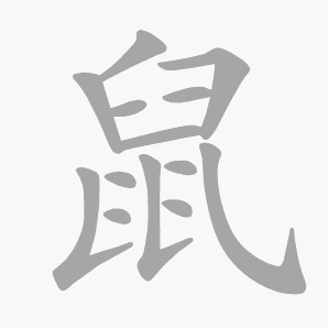 鼠字的部首(鼠字的部首是什么偏旁)