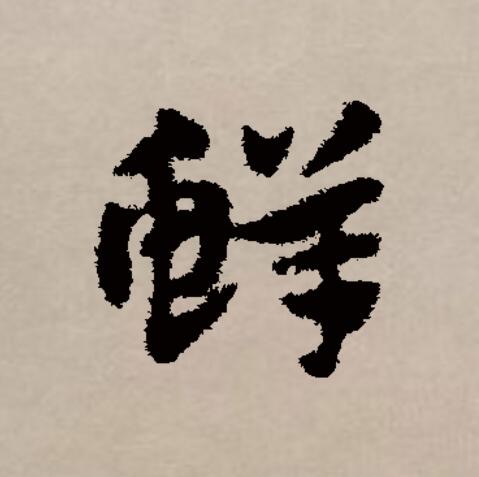 鲜字拼音(鲜字拼音组词)